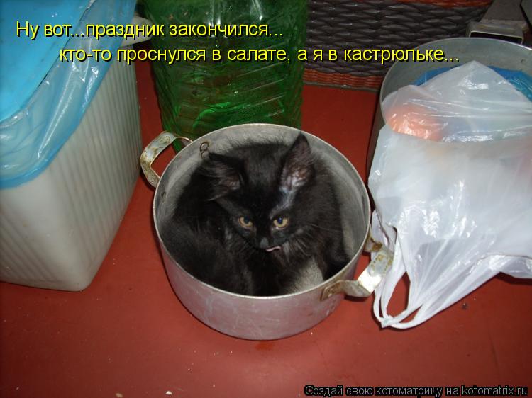 Котоматрица: кто-то проснулся в салате, а я в кастрюльке... Ну вот...праздник закончился... Ну вот...праздник закончился... Ну вот...праздник закончился... Ну во