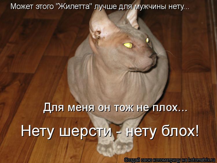Может этого "Жилетта" лучше для мужчины нету... Для меня он тож не плох... Нету шерсти - нету блох!... Котоматрица: Может этого "Жилетта" лучше для мужчины нету... Для меня он тож не плох... Нету шерсти - нету блох!
