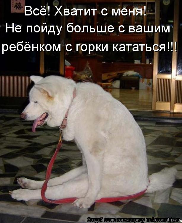 Всё! Хватит с меня! Не пойду больше с вашим ребёнком с горки кататься!!!... Котоматрица: Всё! Хватит с меня! Не пойду больше с вашим ребёнком с горки кататься!!!