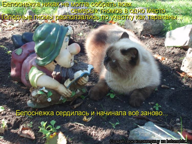 Белоснежка никак не могла собрать всех семерых гномов в одно место. Белоснежка сердилась и начинала в... Котоматрица: Белоснежка никак не могла собрать всех семерых гномов в одно место. Белоснежка сердилась и начинала всё заново... Голодные гномы расползали