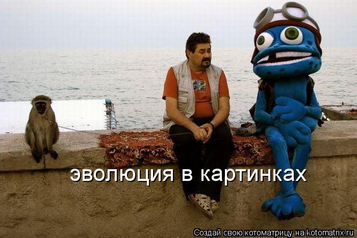 эволюция в картинках... Котоматрица: эволюция в картинках