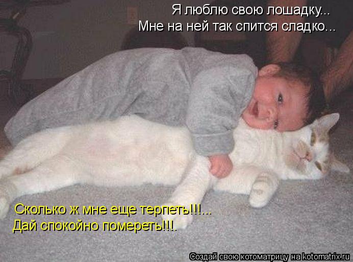 Я люблю свою лошадку... Мне на ней так спится сладко... Сколько ж мне еще терпеть!!!... Дай спокойно ... Котоматрица: Я люблю свою лошадку... Мне на ней так спится сладко... Сколько ж мне еще терпеть!!!... Дай спокойно помереть!!!.