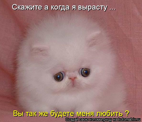 Котоматрица: Скажите а когда я вырасту ... Вы так же будете меня любить ?