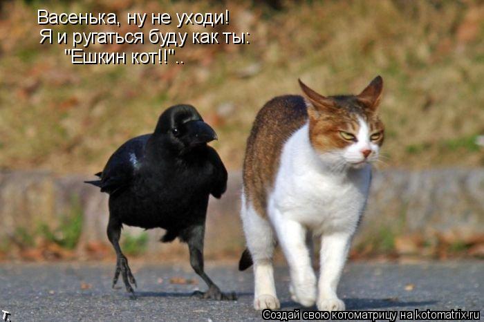 Котоматрица: Васенька, ну не уходи! Я и ругаться буду как ты: "Ешкин кот!!"..