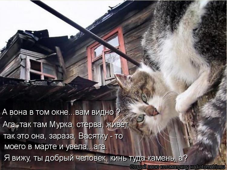Я вижу, ты добрый человек, кинь туда камень, а? моего в марте и увела...ага. так это она, зараза, Вас... Котоматрица: Я вижу, ты добрый человек, кинь туда камень, а? моего в марте и увела...ага. так это она, зараза, Васятку - то Ага, так там Мурка, стерва, живет, А в