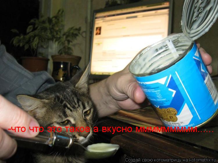 Котоматрица: -что что это такое а вкусно ммммммммм......