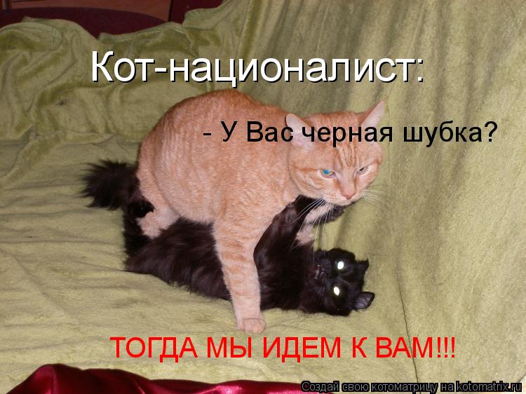 Котоматрица: Кот-националист:   - У Вас черная шубка? ТОГДА МЫ ИДЕМ К ВАМ!!!