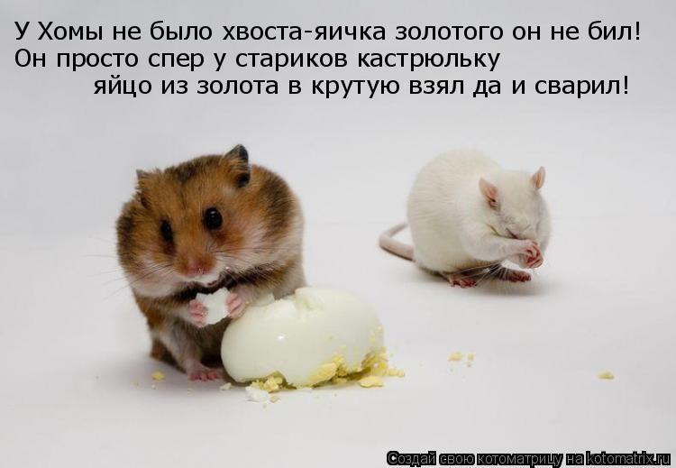 У Хомы не было хвоста-яичка золотого он не бил! яйцо из золота в крутую взял да и сварил! Он просто с... Котоматрица: У Хомы не было хвоста-яичка золотого он не бил! яйцо из золота в крутую взял да и сварил! Он просто спер у стариков кастрюльку