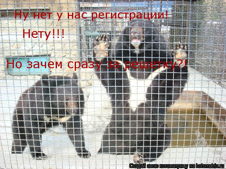 Ну нет у нас регистрации! Но зачем сразу за решетку?! Нету!!!... Котоматрица: Ну нет у нас регистрации! Но зачем сразу за решетку?! Нету!!!