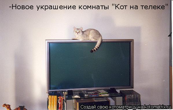 Котоматрица: -Новое украшение комнаты "Кот на телеке"