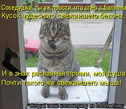 Соседушка, ты уж прости, что спёр с балкона Кусок чудесного свежайшего бекона, И в знак раскаянья при... Котоматрица: Соседушка, ты уж прости, что спёр с балкона Кусок чудесного свежайшего бекона, И в знак раскаянья прими, моя душа, Почти такого же свежайшего