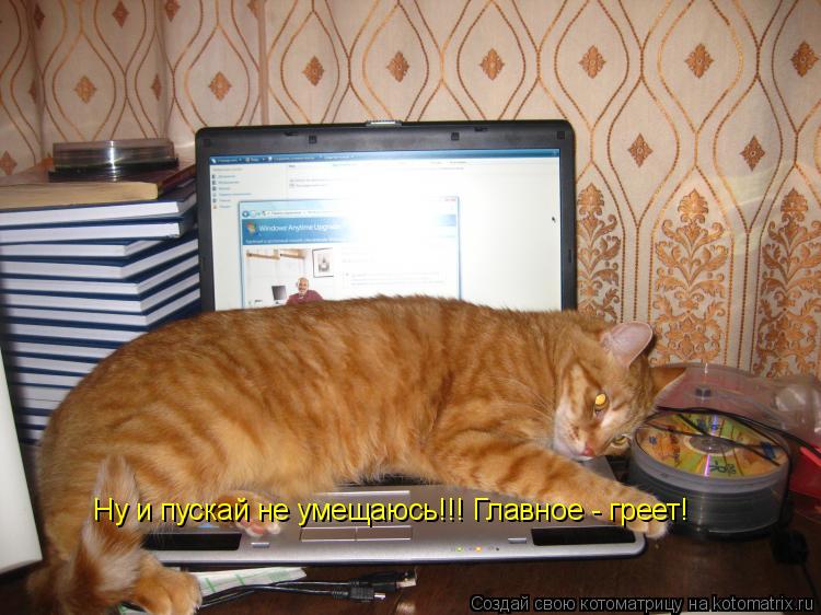 Котоматрица: Ну и пускай не умещаюсь!!! Главное - греет!