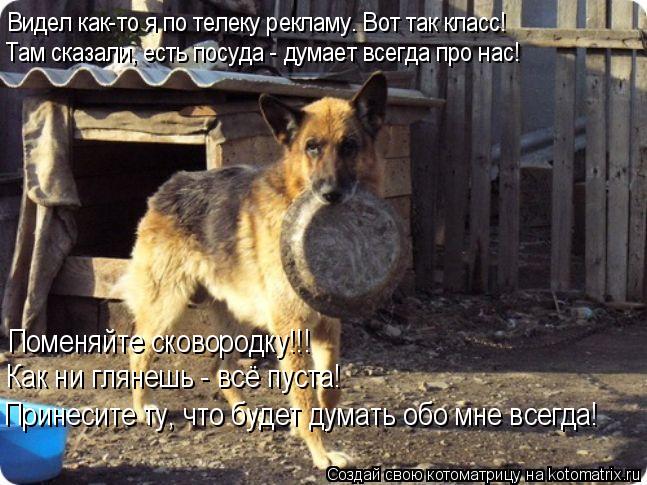 Видел как-то я по телеку рекламу. Вот так класс! Там сказали, есть посуда - думает всегда про нас! По... Котоматрица: Видел как-то я по телеку рекламу. Вот так класс! Там сказали, есть посуда - думает всегда про нас! Поменяйте сковородку!!! Как ни глянешь - всё