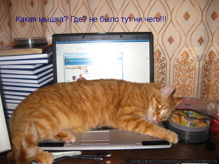 Котоматрица: Какая мышка? Где? не было тут ни чего!!!