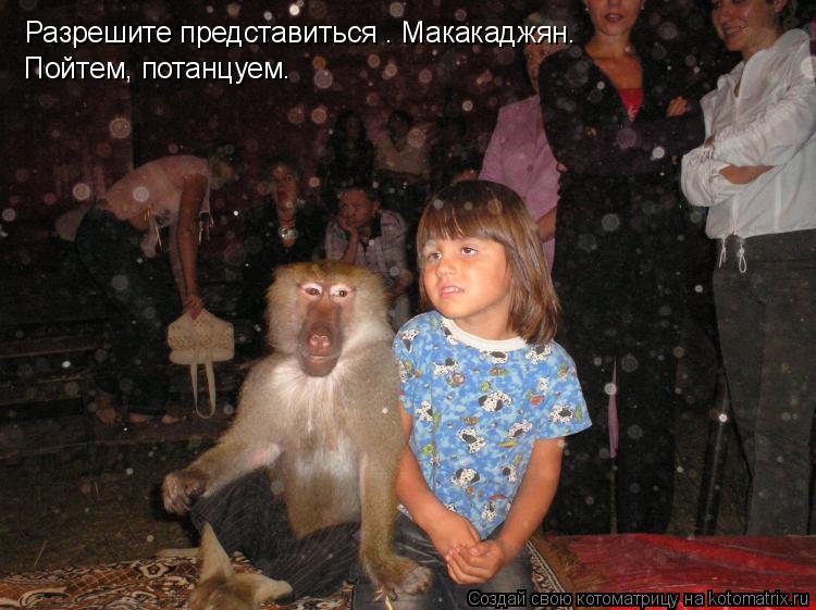 Котоматрица: Разрешите представиться — Макакаджян. Пойтем, потанцуем.