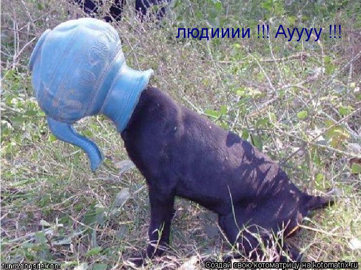 Котоматрица: людииии !!! Ауууу !!!