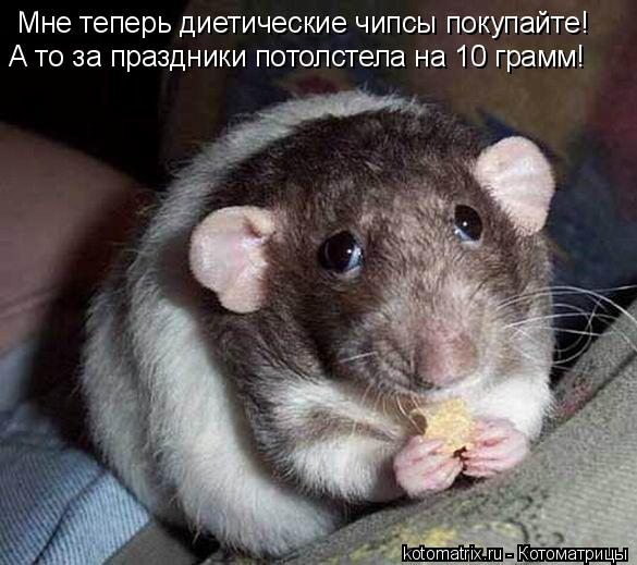 Мне теперь диетические чипсы покупайте! А то за праздники потолстела на 10 грамм!... Котоматрица: Мне теперь диетические чипсы покупайте! А то за праздники потолстела на 10 грамм!