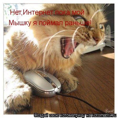 Нет,Интернет пока мой Мышку я поймал раньше!... Котоматрица: Нет,Интернет пока мой Мышку я поймал раньше!