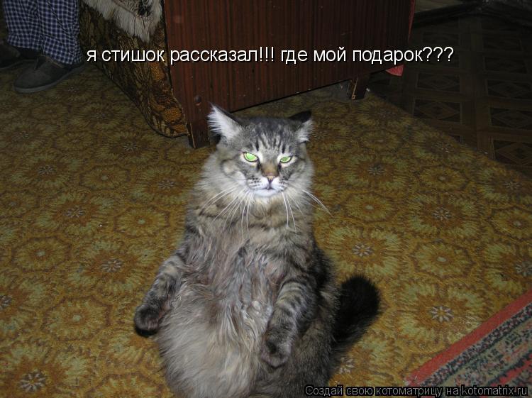 я стишок рассказал!!! где мой подарок???... Котоматрица: я стишок рассказал!!! где мой подарок???