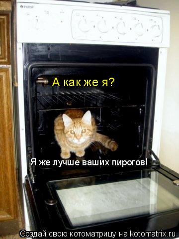 А как же я? Я же лучше ваших пирогов!... Котоматрица: А как же я? Я же лучше ваших пирогов!