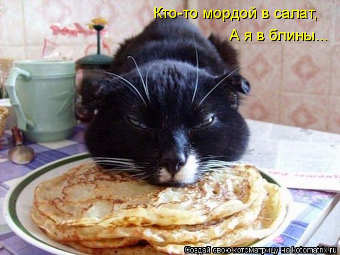Котоматрица: Кто-то мордой в салат, А я в блины...