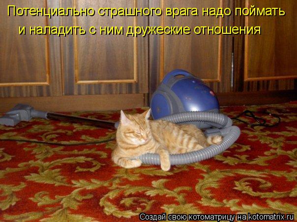 Потенциально страшного врага надо поймать и наладить с ним дружеские отношения... Котоматрица: Потенциально страшного врага надо поймать и наладить с ним дружеские отношения