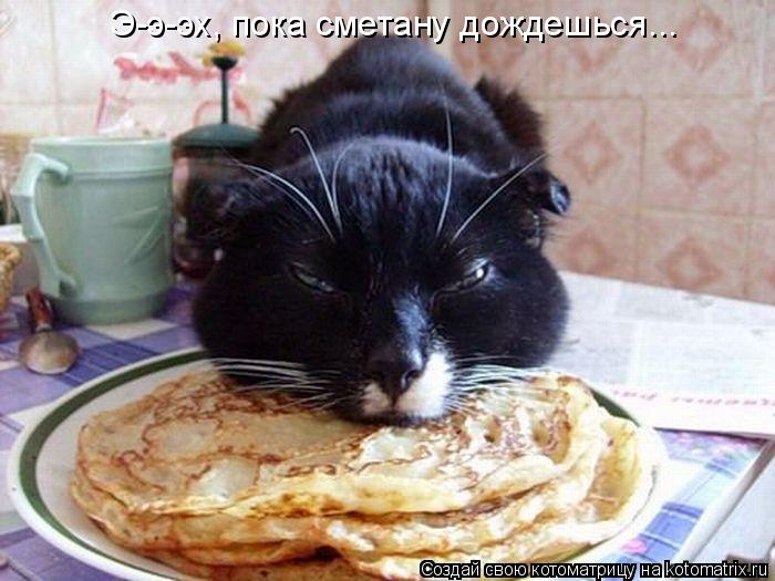 Котоматрица: Э-э-эх, пока сметану дождешься...