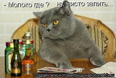 Котоматрица: - Молоко где ? ну, чисто запить...