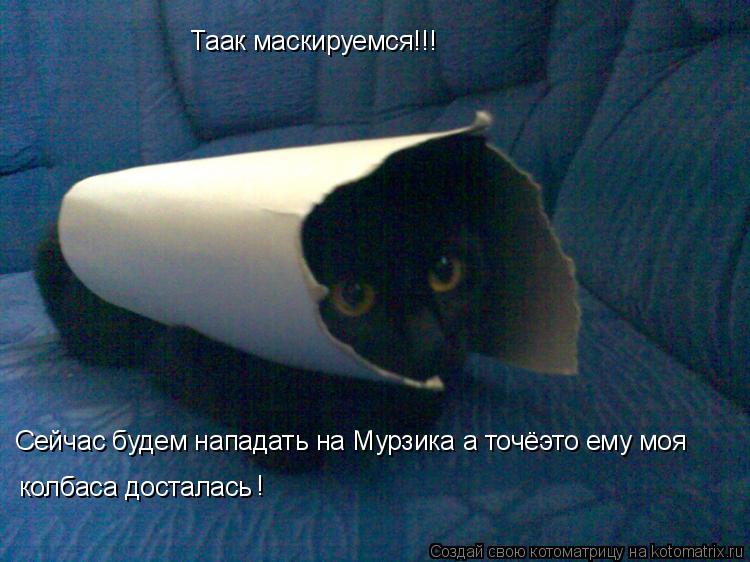 Котоматрица: Таак маскируемся!!! Сейчас будем нападать на Мурзика а точёэто ему моя колбаса досталась !