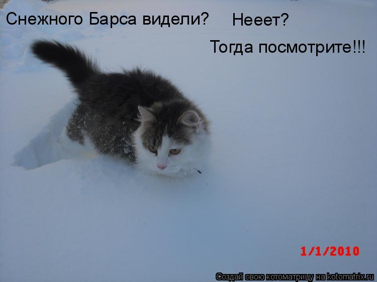 Котоматрица: Снежного Барса видели? Нееет? Тогда посмотрите!!!