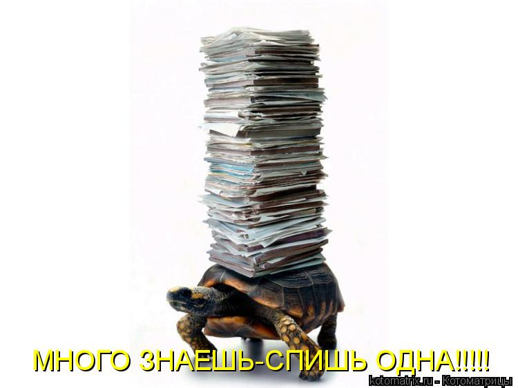 МНОГО ЗНАЕШЬ-СПИШЬ ОДНА!!!!!... Котоматрица: МНОГО ЗНАЕШЬ-СПИШЬ ОДНА!!!!!