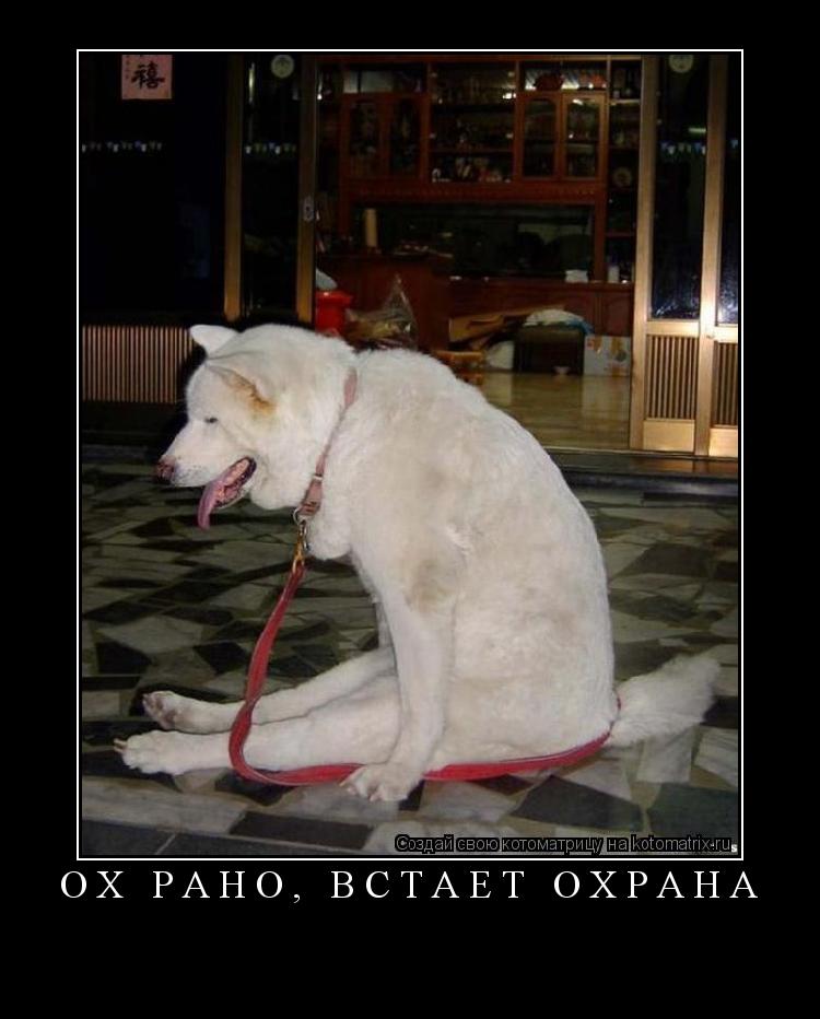 Котоматрица: ОХ РАНО, ВСТАЕТ ОХРАНА 
