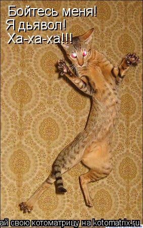 Котоматрица: Бойтесь меня! Я дьявол! Ха-ха-ха!!!