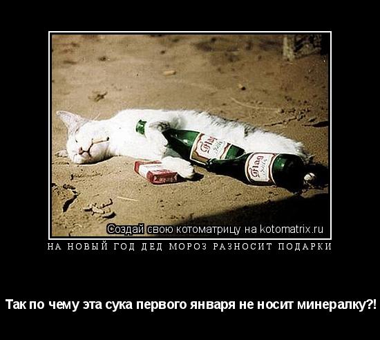 Котоматрица: На новый год Дед мороз разносит подарки  Так по чему эта сука первого января не носит минералку?!