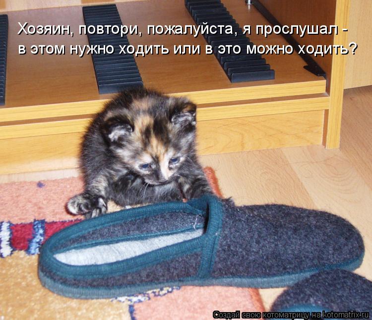 Хозяин, повтори, пожалуйста, я прослушал - в этом нужно ходить или в это можно ходить?... Котоматрица: Хозяин, повтори, пожалуйста, я прослушал - в этом нужно ходить или в это можно ходить?