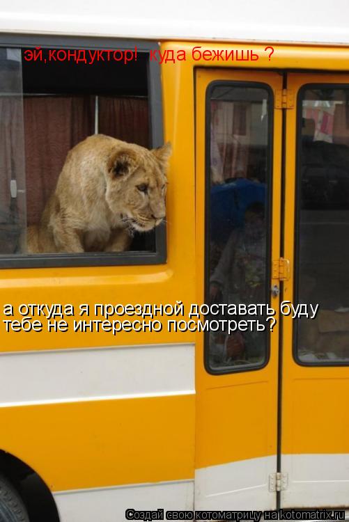 Котоматрица: эй,кондуктор!  куда бежишь ? а откуда я проездной доставать буду  тебе не интересно посмотреть?