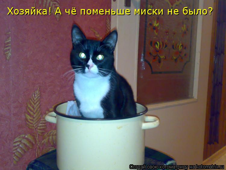 Котоматрица: Хозяйка! А чё поменьше миски не было?