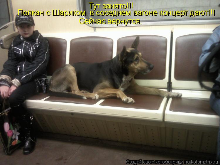 Тут занято!!! Полкан с Шариком в соседнем вагоне концерт дают!!! Сейчас вернутся.... Котоматрица: Тут занято!!! Полкан с Шариком в соседнем вагоне концерт дают!!! Сейчас вернутся.