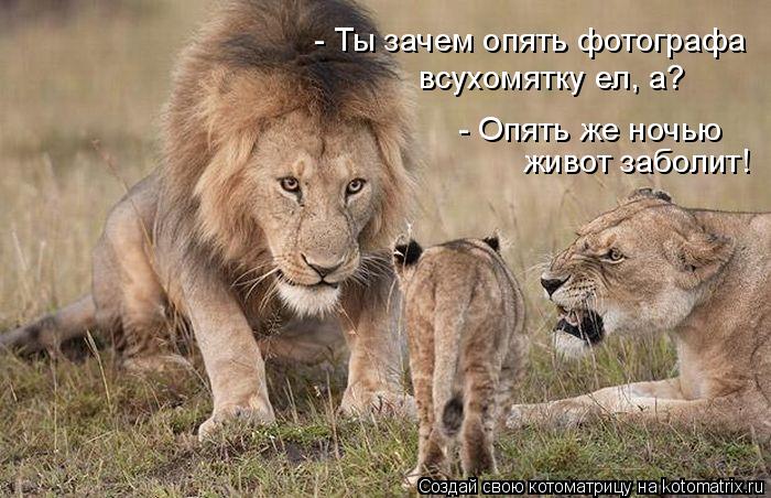 - Ты зачем опять фотографа всухомятку ел, а? - Опять же ночью живот заболит!... Котоматрица: - Ты зачем опять фотографа всухомятку ел, а? - Опять же ночью живот заболит!