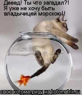 Котоматрица: Дееед! Ты что загадал?! Я уже не хочу быть владычицей морскою!!