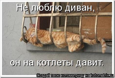 Котоматрица: Не люблю диван, он на котлеты давит.