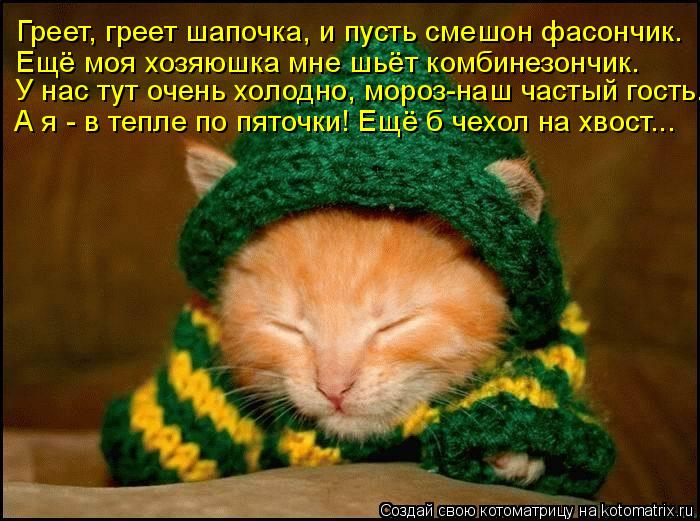 А я - в тепле по пяточки! Ещё б чехол на хвост... У нас тут очень холодно, мороз-наш частый гость. Ещ... Котоматрица: А я - в тепле по пяточки! Ещё б чехол на хвост... У нас тут очень холодно, мороз-наш частый гость. Ещё моя хозяюшка мне шьёт комбинезончик. Греет