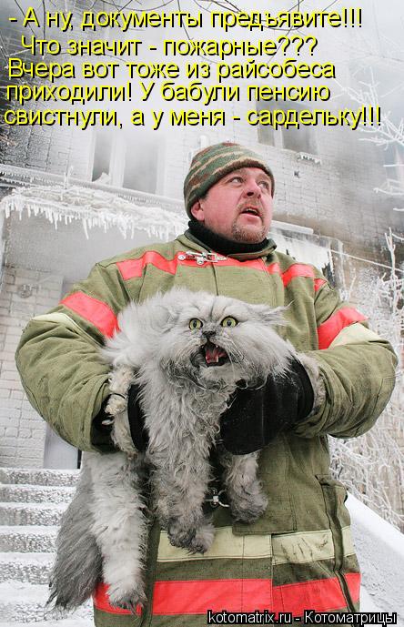 Котоматрица: - А ну, документы предъявите!!! Что значит - пожарные??? Вчера вот тоже из райсобеса  приходили! У бабули пенсию свистнули, а у меня - сардельку!!!