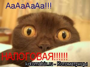 Котоматрица: АаАаАаАа!!! НАЛОГОВАЯ!!!!!!