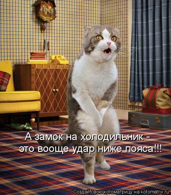 Котоматрица: А замок на холодильник - это вооще удар ниже пояса!!!