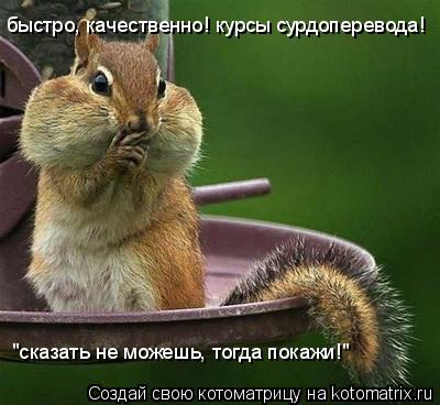Котоматрица: быстро, качественно! курсы сурдоперевода! "сказать не можешь, тогда покажи!"