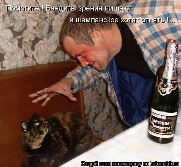 Котоматрица: Помогите ! Бандиты зрения лишают ...  и шампанское хотят отнять !...