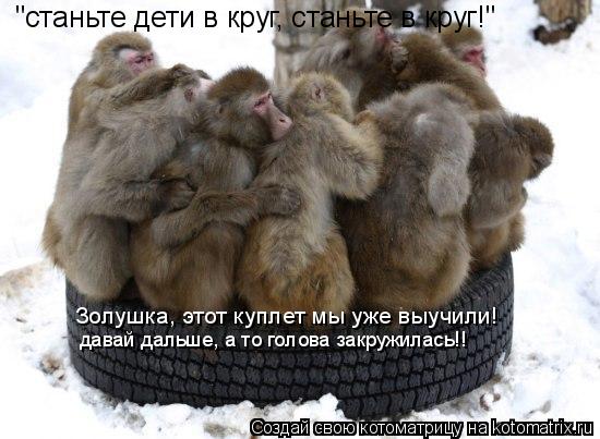 Котоматрица: "станьте дети в круг, станьте в круг!" Золушка, этот куплет мы уже выучили! давай дальше, а то голова закружилась!!