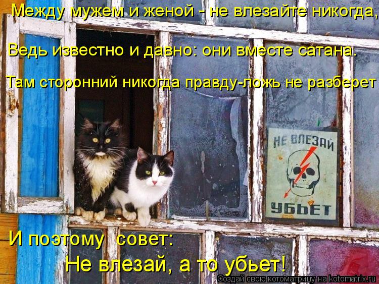 Между мужем и женой - не влезайте никогда, Там сторонний никогда правду-ложь не разберет И поэтому с... Котоматрица: Между мужем и женой - не влезайте никогда, Там сторонний никогда правду-ложь не разберет И поэтому совет: Не влезай, а то убьет! Ведь известн