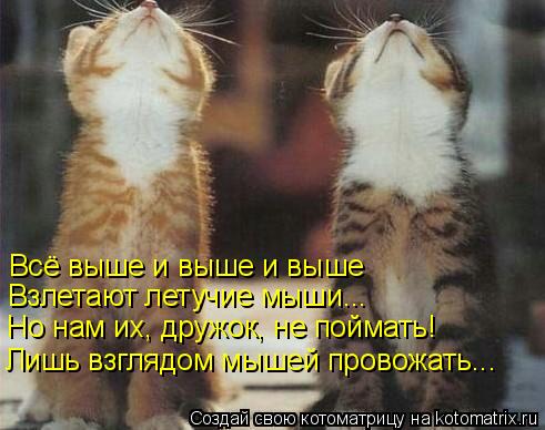 Котоматрица: Всё выше и выше и выше Взлетают летучие мыши... Но нам их, дружок, не поймать! Лишь взглядом мышей провожать...